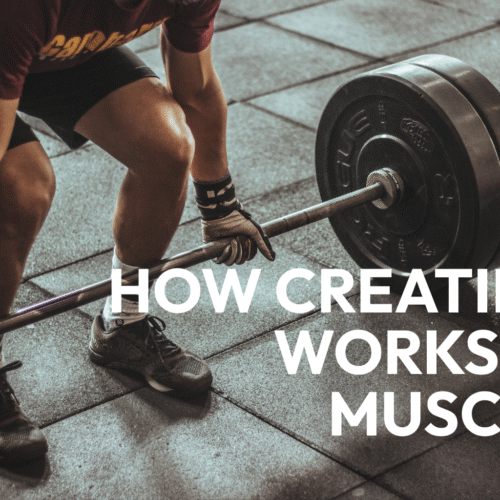 Science-Backed Muscle Gains with Creatine